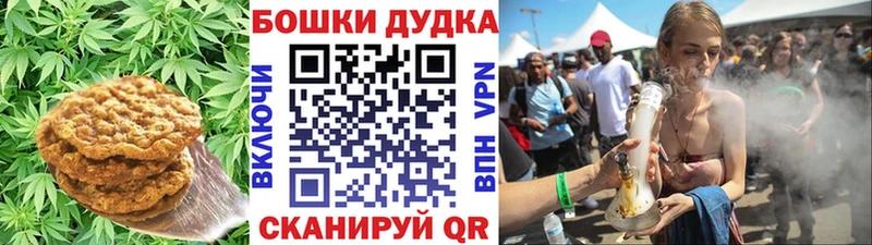 shop телеграм  как найти наркотики  Пудож  Cannafood марихуана 