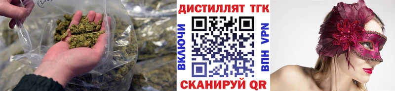 Дистиллят ТГК THC oil  цены наркотик  Пудож 