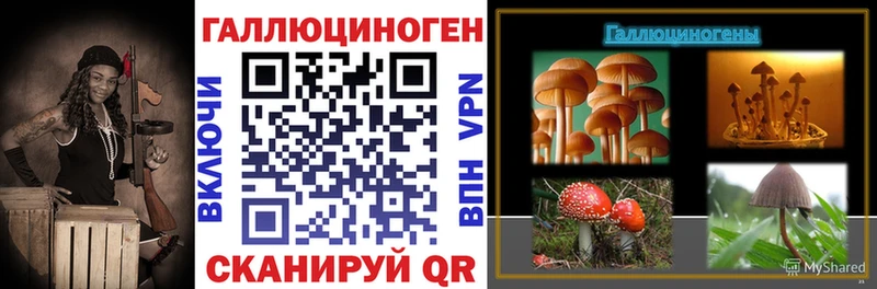 хочу наркоту  Пудож  Псилоцибиновые грибы Magic Shrooms 